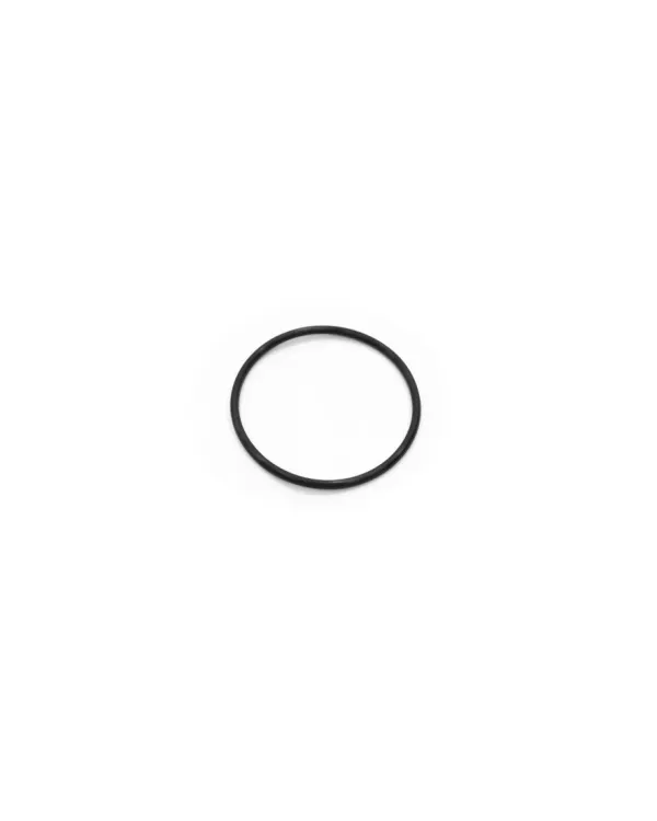 TITANIUM ELECTRODE O-RING FOR 26687/26688