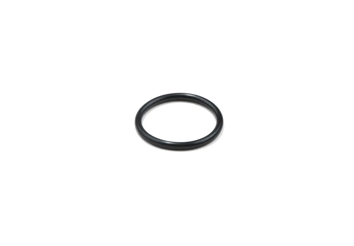 VALVE O-RING
