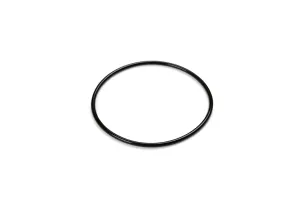 O-RING ON TITANIUM PLATES