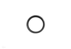TITANIUM PLATES O-RING