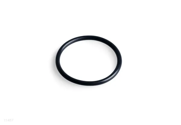 O-RING FOR SAND FILTER PUMP MOTOR INLET