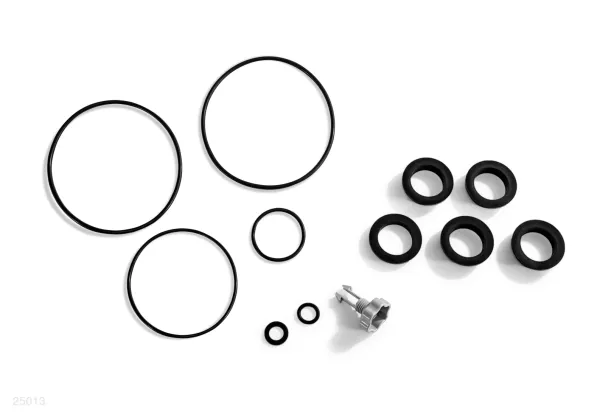 AIR RELEASE VALVE AND O-RINGS FOR SAND FILTER PUMPS