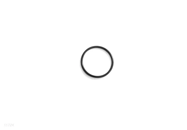 TRANSPARENT ADAPTOR O-RING FOR 10" SAND FILTER PUMP