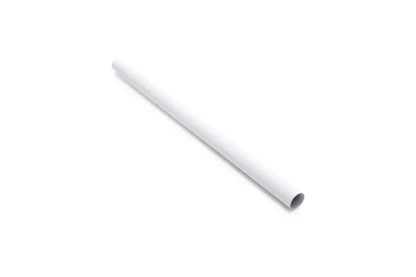VERTICAL LEG FOR 10'X30" & 12'X30" METAL FRAME POOL