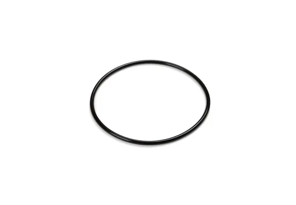 O-RING ON TITANIUM PLATES